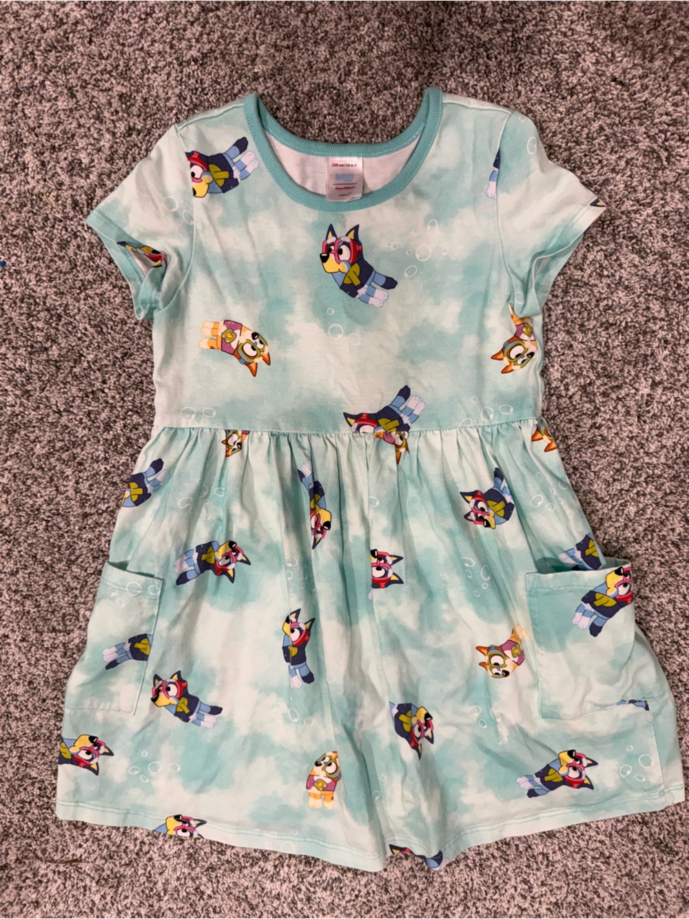 Bluey Hanna Andersson Dress